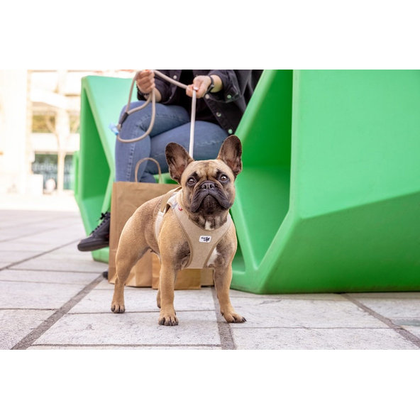 CURLI Postroj pre psov so sponou Manšester Brown L, 8-13 kg