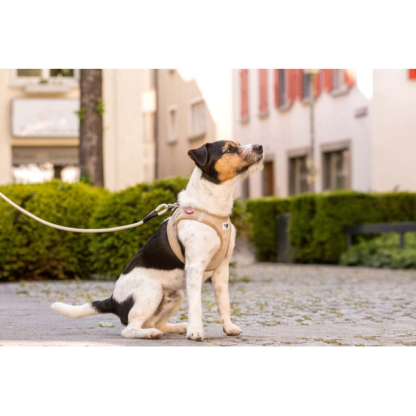 CURLI Postroj pre psov so sponou Manšester Brown M, 6-9 kg