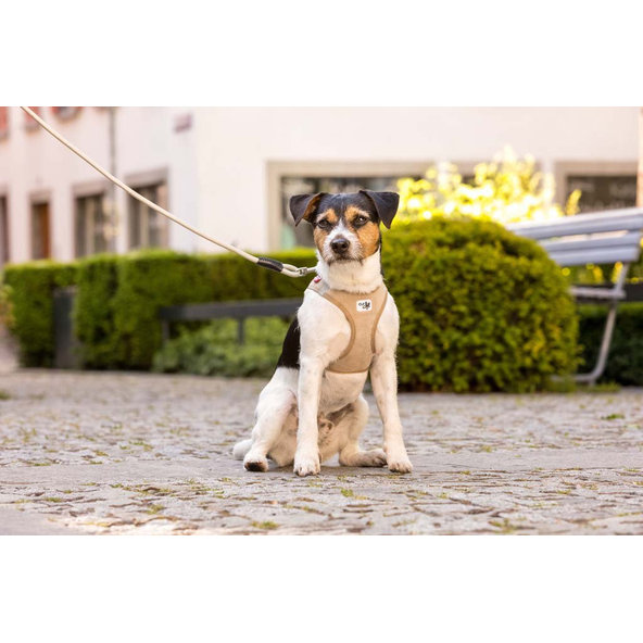 CURLI Postroj pre psov so sponou Manšester Brown M, 6-9 kg