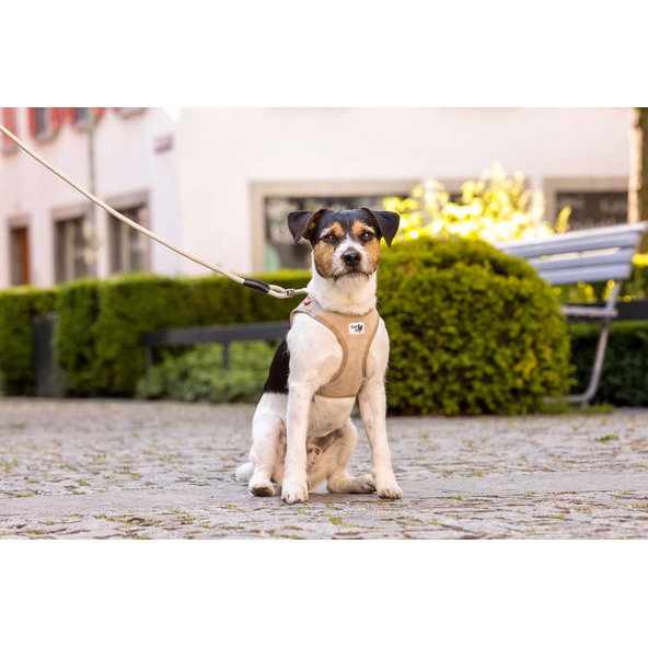 CURLI Postroj pre psov so sponou Manšester Brown S, 4-7 kg