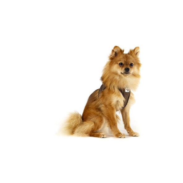 CURLI Postroj pre psov so sponou Manšester Brown XS, 3-5 kg