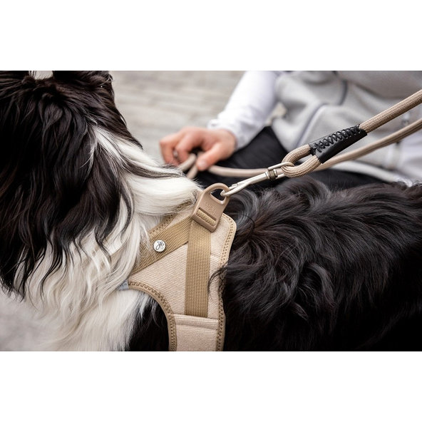 CURLI Postroj pre psov so sponou Manšester Tan 2XS, 2-4 kg