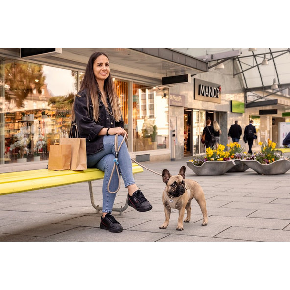 CURLI Postroj pre psov so sponou Manšester Tan L, 8-13 kg