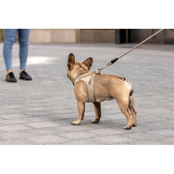 CURLI Postroj pre psov so sponou Manšester Tan L, 8-13 kg
