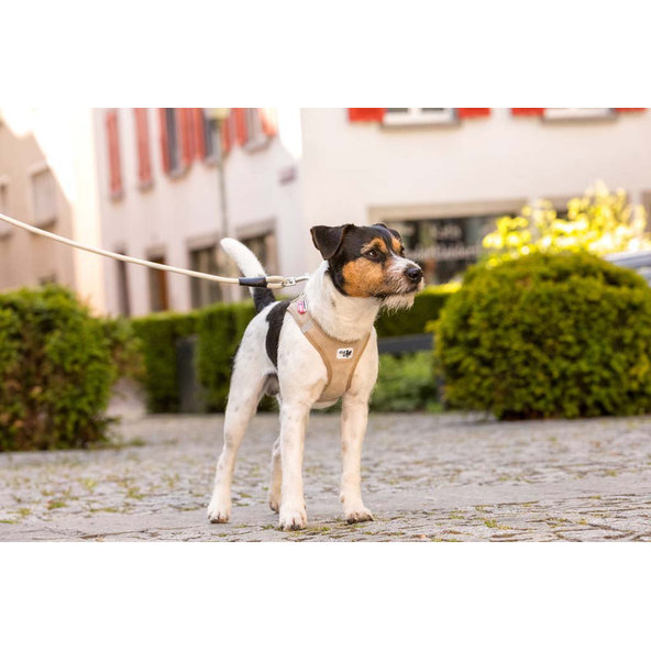 CURLI Postroj pre psov so sponou Manšester Tan M, 6-9 kg