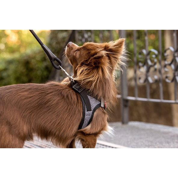 CURLI Postroj pre psov so sponou Merino vlna Black 2XS, 2-4 kg