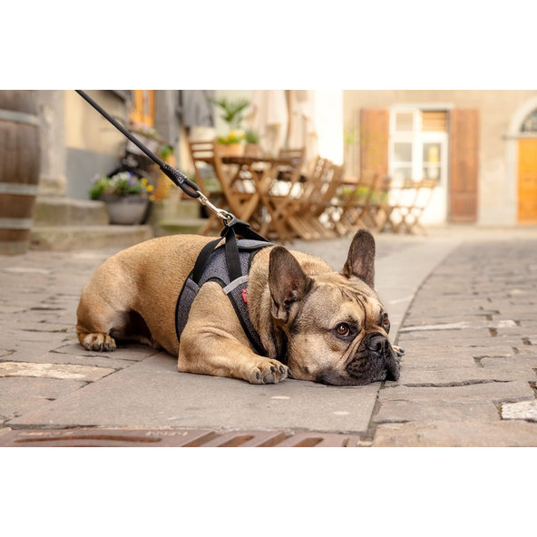 CURLI Postroj pre psov so sponou Merino vlna Black L, 8-13 kg
