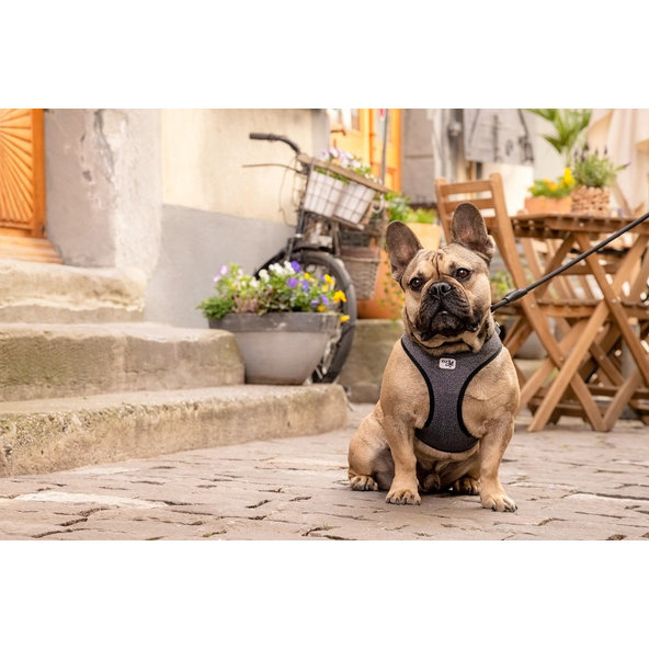 CURLI Postroj pre psov so sponou Merino vlna Black L, 8-13 kg