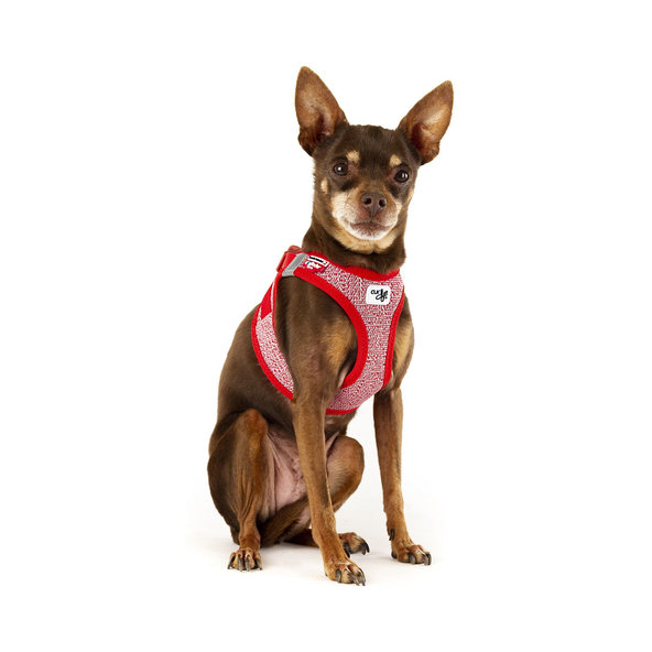 CURLI Postroj pre psov so sponou Merino vlna Black XS, 3-5 kg