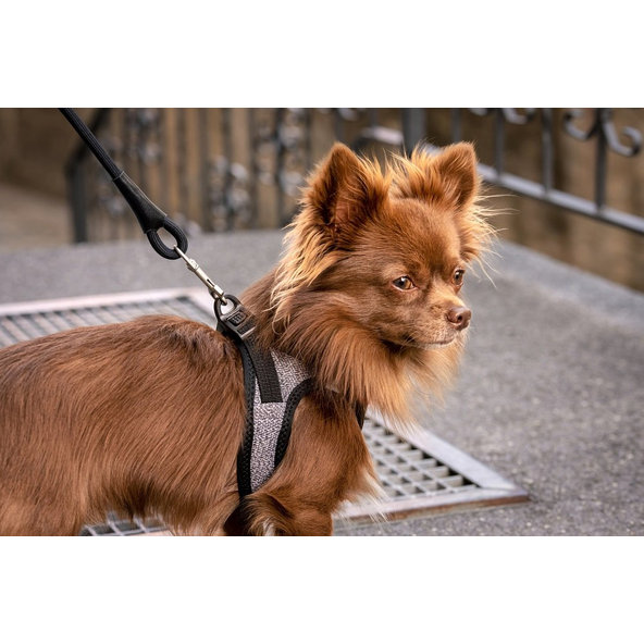 CURLI Postroj pre psov so sponou Merino vlna Red 2XS, 2-4 kg