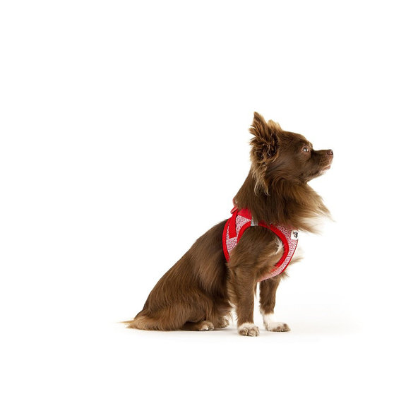 CURLI Postroj pre psov so sponou Merino vlna Red 3XS, 1,5-3 kg