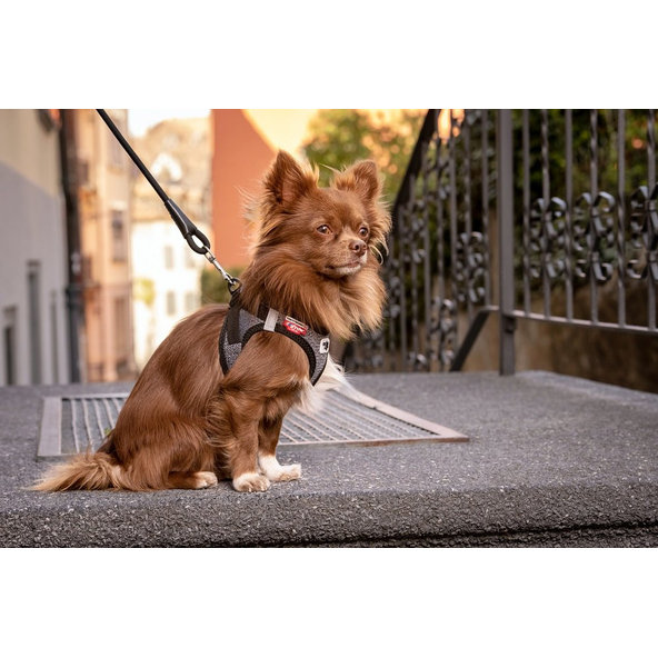 CURLI Postroj pre psov so sponou Merino vlna Red 3XS, 1,5-3 kg