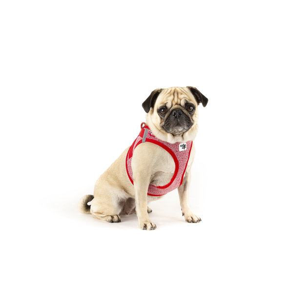 CURLI Postroj pre psov so sponou Merino vlna Red L, 8-13 kg