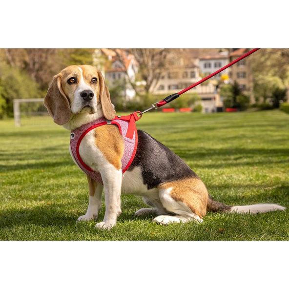 CURLI Postroj pre psov so sponou Merino vlna Red M, 6-9 kg