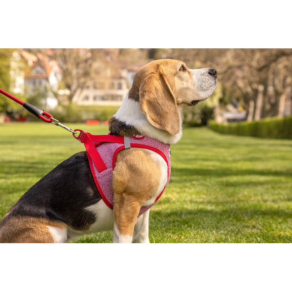 CURLI Postroj pre psov so sponou Merino vlna Red M, 6-9 kg