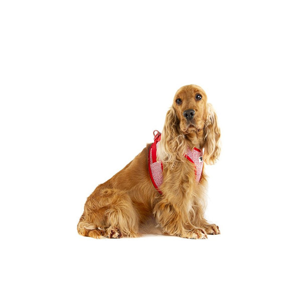 CURLI Postroj pre psov so sponou Merino vlna Red XL, 12-18 kg