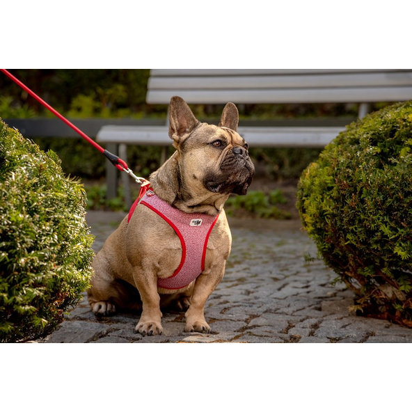 CURLI Postroj pre psov so sponou Merino vlna Red XL, 12-18 kg