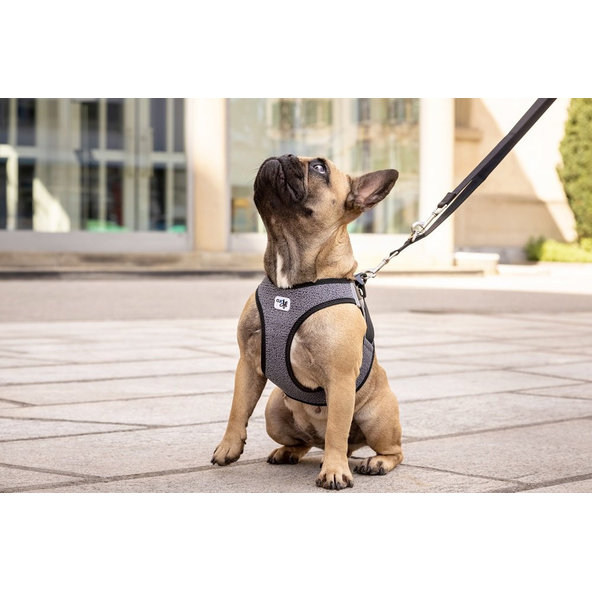 CURLI Postroj pre psov so sponou Merino vlna Red XL, 12-18 kg