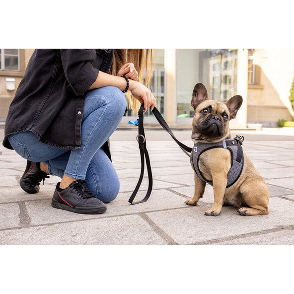 CURLI Postroj pre psov so sponou Merino vlna Red XL, 12-18 kg