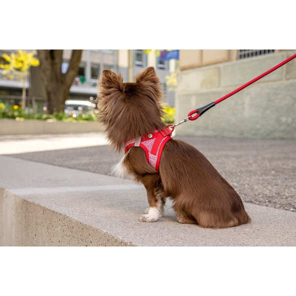 CURLI Postroj pre psov so sponou Merino vlna Red XS, 3-5 kg