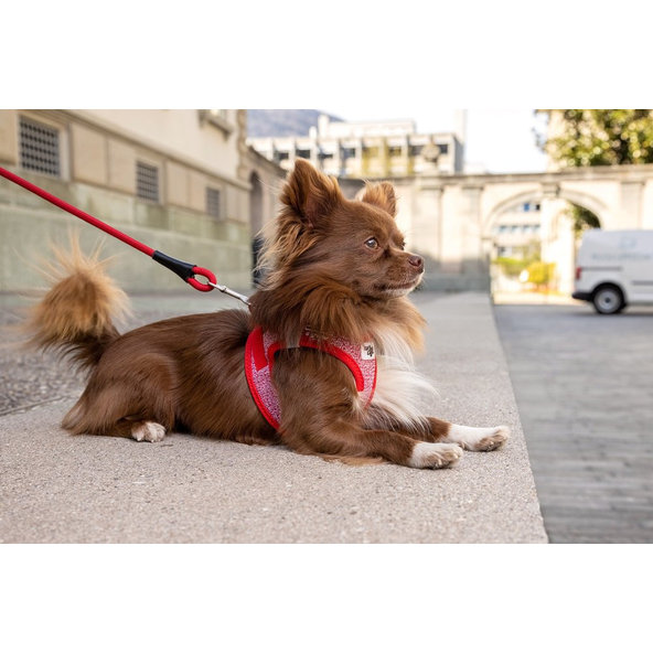 CURLI Postroj pre psov so sponou Merino vlna Red XS, 3-5 kg