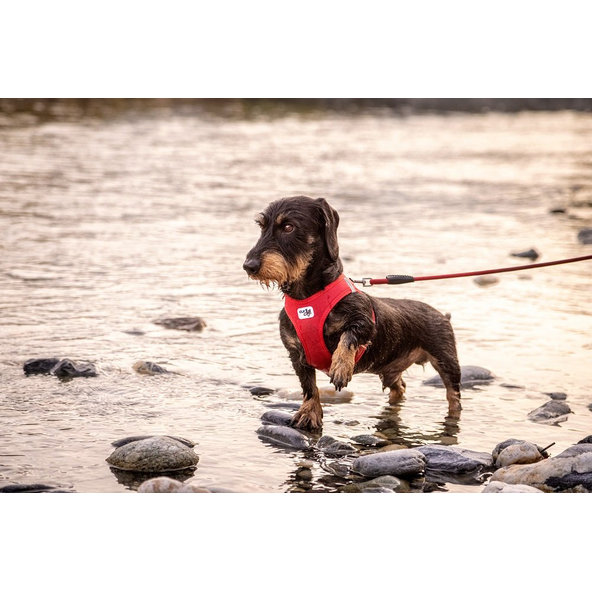 CURLI Postroj pre psov so sponou Softshell Black 3XS, 1,5-3 kg