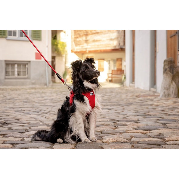 CURLI Postroj pre psov so sponou Softshell Black XL, 12-18 kg