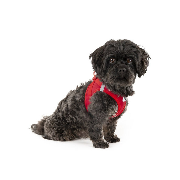 CURLI Postroj pre psov so sponou Softshell Red 2XS, 2-4 kg