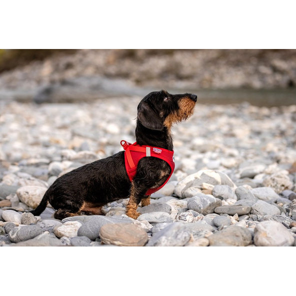 CURLI Postroj pre psov so sponou Softshell Red 2XS, 2-4 kg