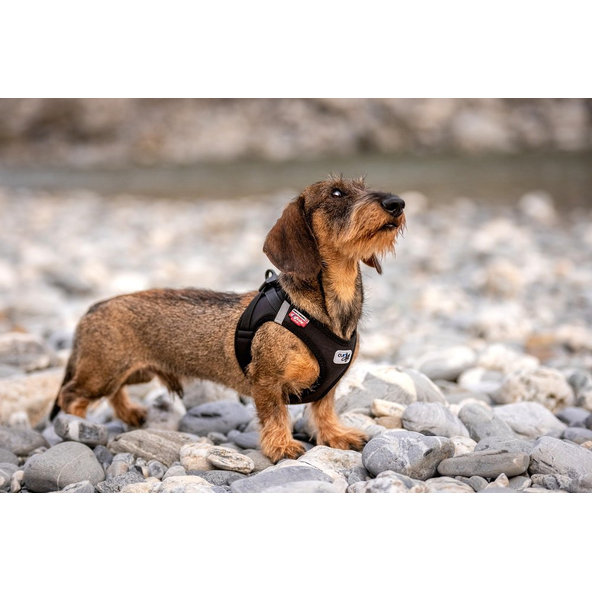 CURLI Postroj pre psov so sponou Softshell Red 2XS, 2-4 kg