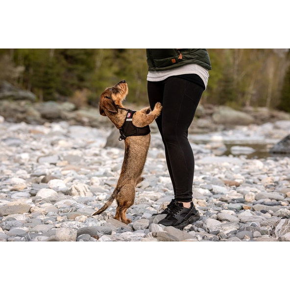 CURLI Postroj pre psov so sponou Softshell Red L, 8-13 kg