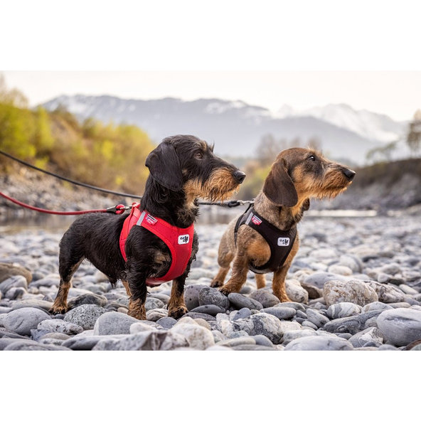 CURLI Postroj pre psov so sponou Softshell Red M, 6-9 kg