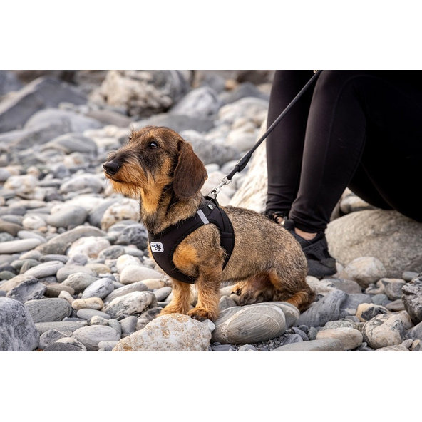 CURLI Postroj pre psov so sponou Softshell Red M, 6-9 kg