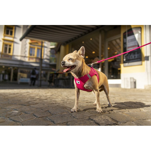 CURLI Vodítko pre psov Basic Fuchsia L 140x2 cm