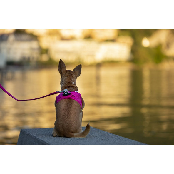 CURLI Vodítko pre psov Basic Fuchsia L 140x2 cm