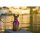 CURLI Vodítko pre psov Basic Fuchsia L 140x2 cm
