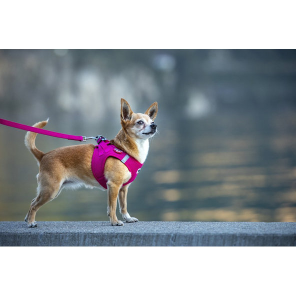 CURLI Vodítko pre psov Basic Fuchsia L 140x2 cm