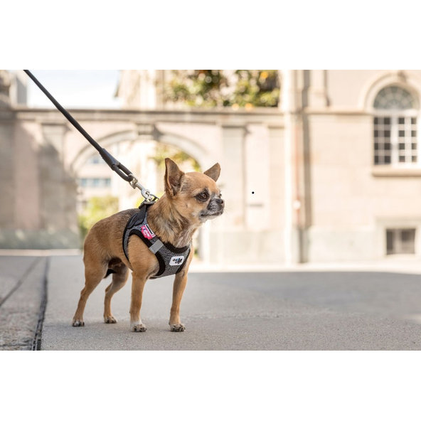 CURLI Vodítko pre psov Comfort Black L