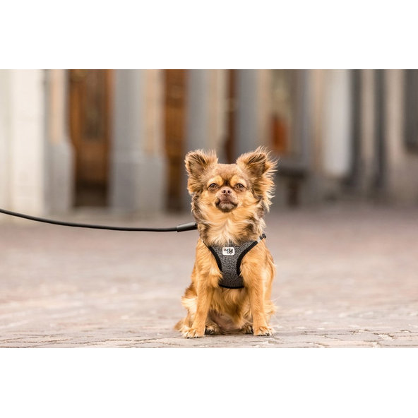 CURLI Vodítko pre psov Comfort Black L