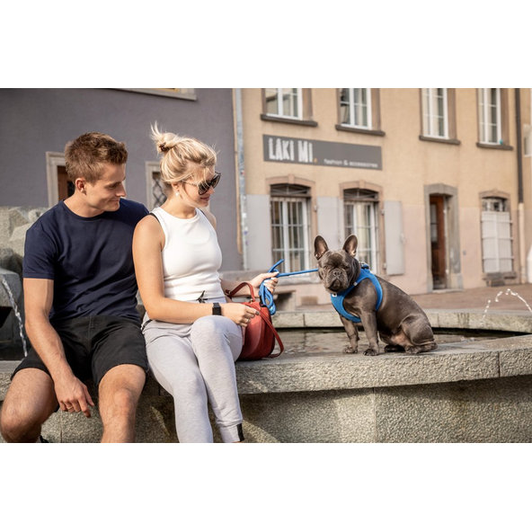 CURLI Vodítko pre psov Comfort Blue L