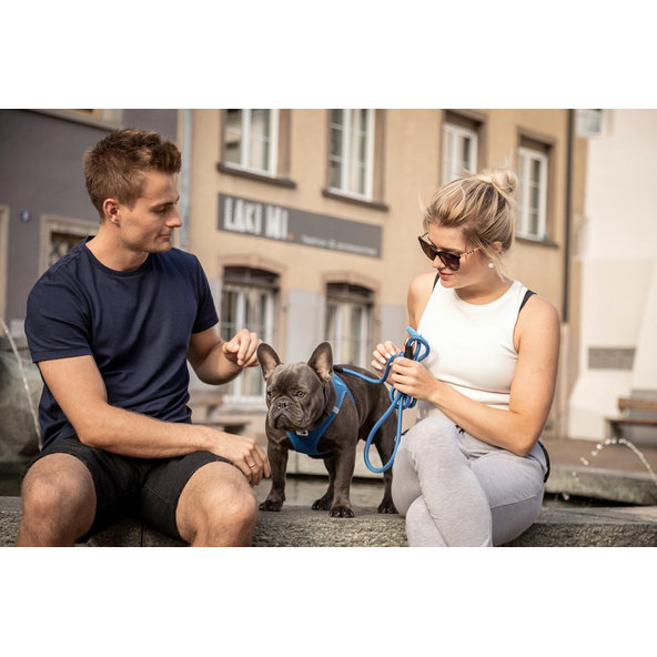 CURLI Vodítko pre psov Comfort Blue L