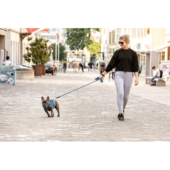 CURLI Vodítko pre psov Comfort Blue L