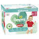2x PAMPERS Nohavičky plienkové Harmonie Pants veľ. 5 (64 ks) 12-17 kg