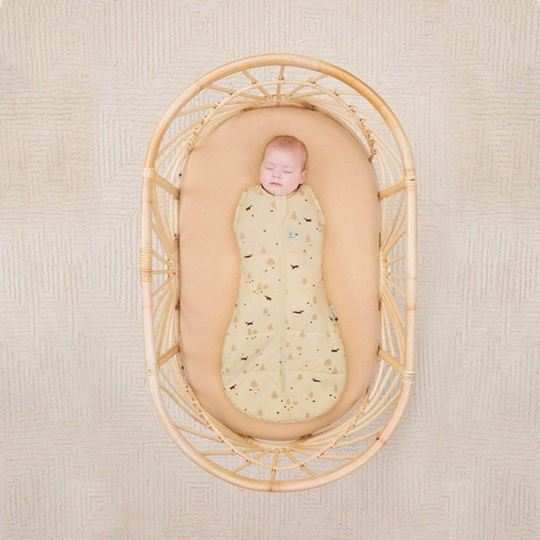 ERGOPOUCH Zavinovačka a vak na spanie 2v1 Cocoon Doggos 0-3 m, 3-6 kg, 2,5 tog