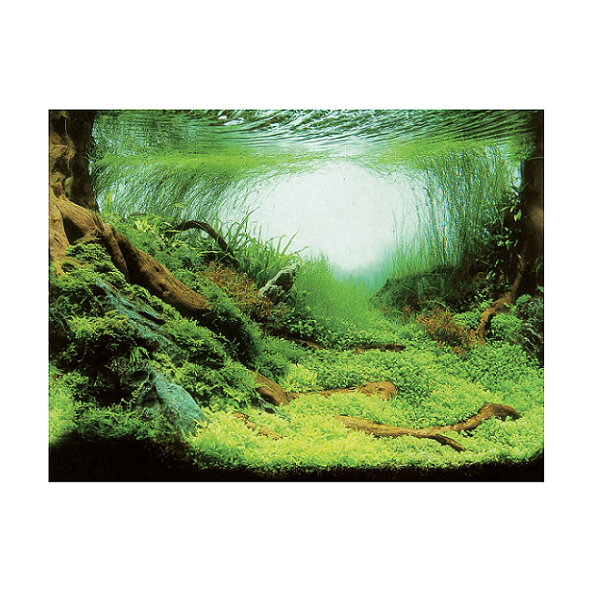 AQUA NOVA Akvarijné pozadie XL 150x60cm rastliny / oceán