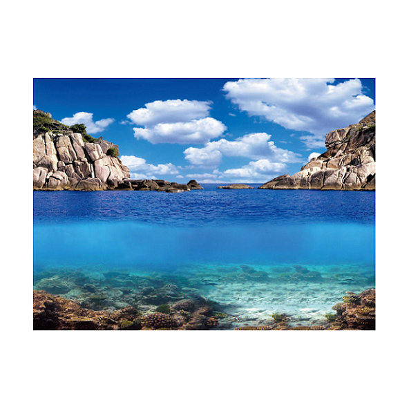 AQUA NOVA Akvarijné pozadie L 100x50cm rastliny / oceán