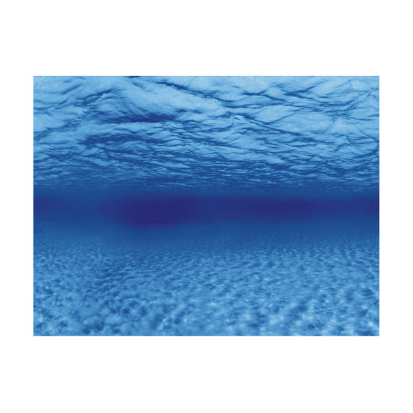 AQUA NOVA Akvarijné pozadie S 60x30cm korene / voda