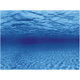 AQUA NOVA Akvarijné pozadie L 100x50cm korene / voda