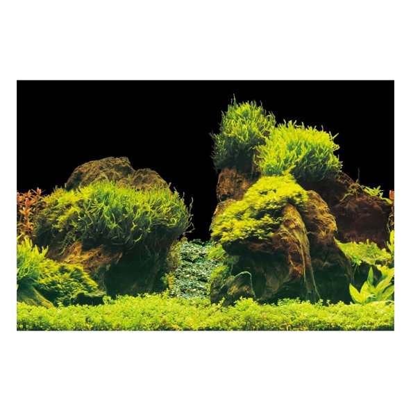 AQUA NOVA Akvarijné pozadie L 100x50cm skaly / rastliny
