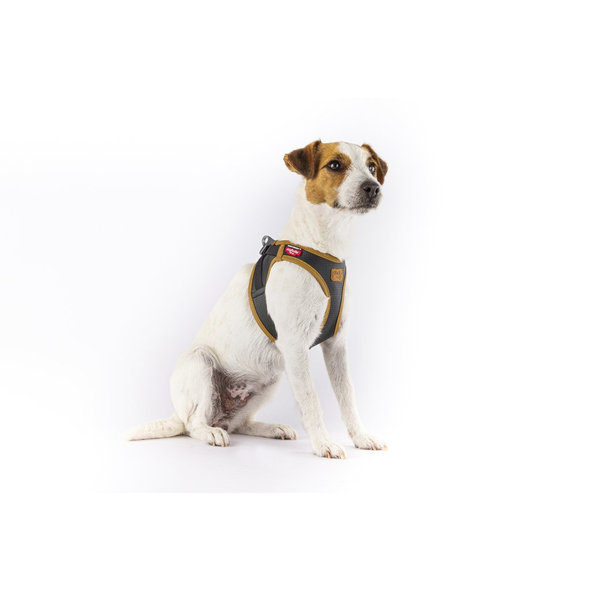 CURLI Postroj pre psov z jablčnej kože Black 2XS, 2-4 kg